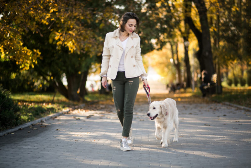 woman walking the dog for extra income